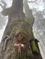 /album/fotogalerie1/yyy-png/